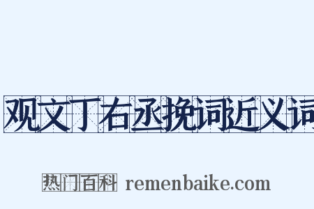 观文丁右丞挽词近义词是什么意思的图片